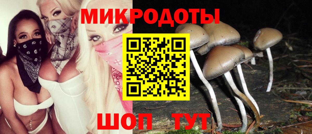 купить наркоту  Вход с VPN  Тында  Псилоцибиновые грибы мухоморы 